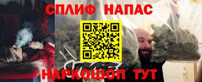хмурый Гатчина