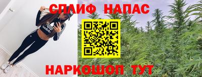 хмурый Гатчина