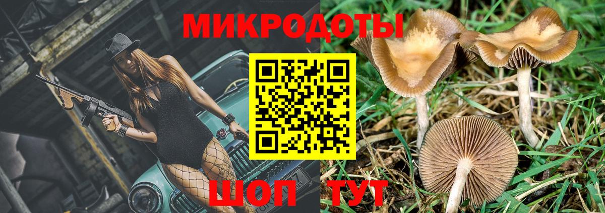 Галлюциногенные грибы прущие грибы  купить   Киреевск  Псилоцибиновые грибы Psilocybine cubensis  Вход с VPN 